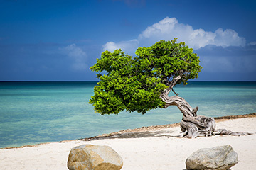 奧拉涅斯塔德港口查詢(xún)_oranjestad,aruba港口代碼_阿魯巴奧拉涅斯塔德港口代碼